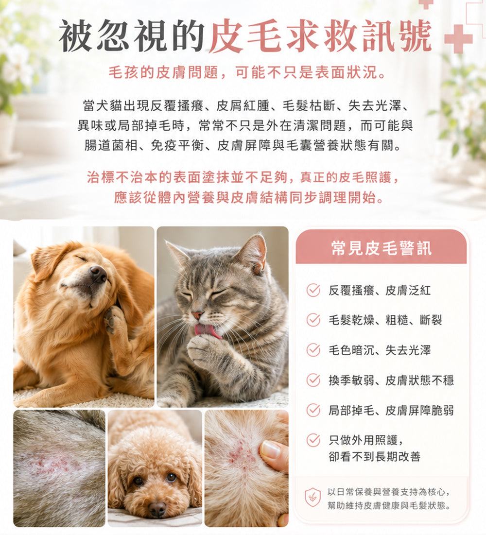 寵研所 皮毛保健粉營養資訊