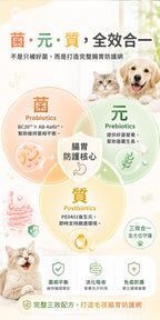 寵研所 腸胃益生菌產品說明